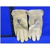 Image 1 : Soft Leather Gloves - Appears to be Calf Skin - Size XL