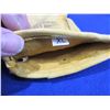Image 3 : Soft Leather Gloves - Appears to be Calf Skin - Size XL