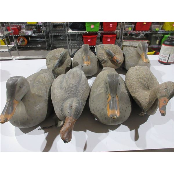8 Vintage Plastic Duck Decoys