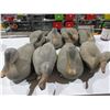 Image 1 : 8 Vintage Plastic Duck Decoys