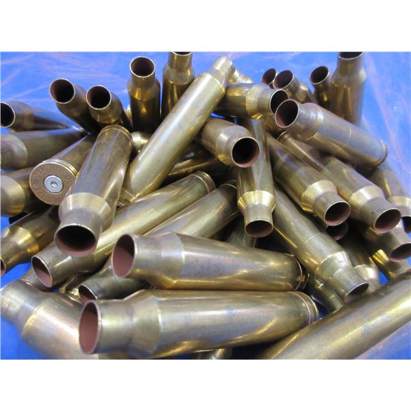 Brass Only - 300 Win. Mag Unprimed - Bag of 50