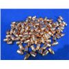 Image 1 : 9MM 124gr FCP RN Bullets - Bag of Approx. 120