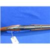Image 11 : Non-Restricted - Tikka M77K Combo in 12 Ga 2 3/4"/7x57R