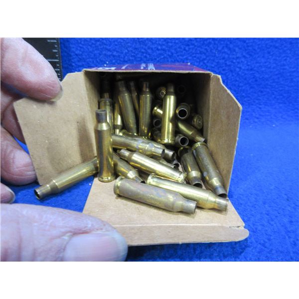 Brass Only - 17 Hornet Unprimed Hornady - Box of Approx. 60