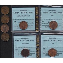 Lot of Eight Small Cents