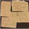 Image 2 : Scrip