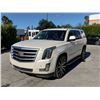 Image 1 : CADI ESCALADE 2015 T-REPO 2 DAYS