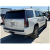 Image 3 : CADI ESCALADE 2015 T-REPO 2 DAYS