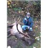 Image 2 : Washington Roosevelt Elk Hunt