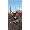 Image 1 : Oklahoma Whitetail Hunt
