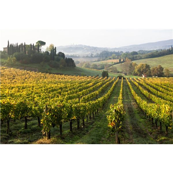 Cooking, Wine & Tuscan Views for 12