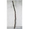 Image 1 : big stick