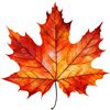 Image 1 : leaf