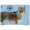 Image 1 : Birchwood Casey Pre-Game Targets Coyote 3 16.5" x 24" Reactive Target UPC 29057354058 SKU BC-35405