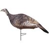 Image 1 : Primos Photoform Hen Turkey Decoy UPC 10135690687 SKU 69068