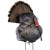 Image 1 : Primos Photoform Strutter Turkey Decoy UPC 10135690724 SKU 69072