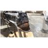 Image 7 : 2005 DOUBLE A UTILITY BOX TRAILER, BLACK, VIN 2DALC11465T004811,