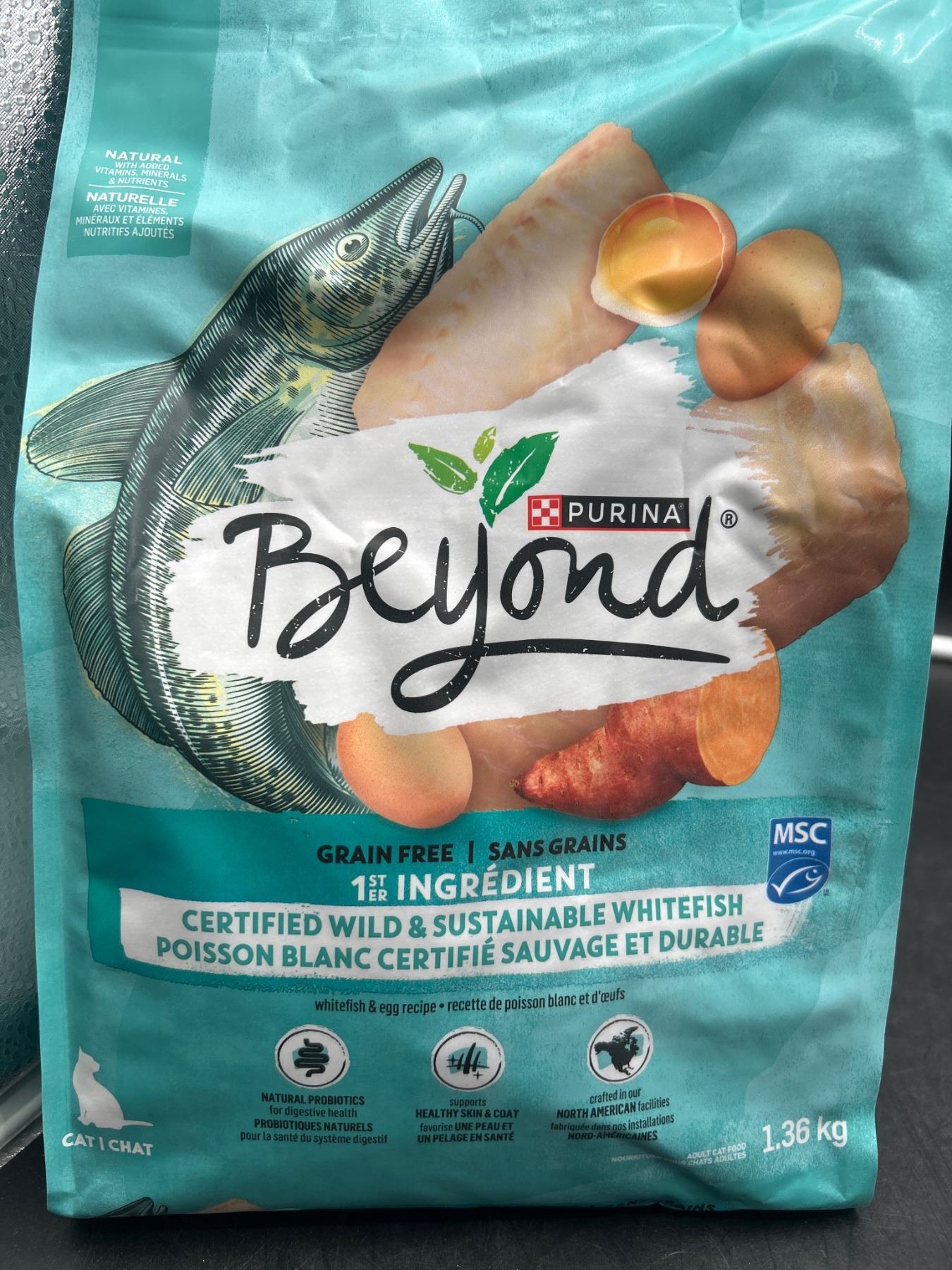 Purina Beyond Grain Free Certified Wild and Sustainable Whitefish Cat ...