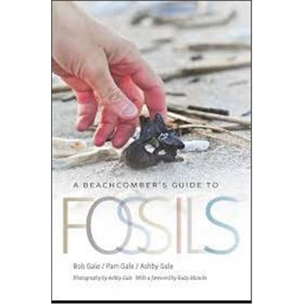 A Beachcomber’s Guide to Fossils by Bob Gale, Pam Gale, and Ashby Gale