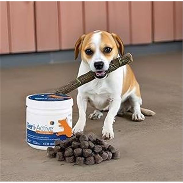 GeriActive Powder Supplement for Dogs, Lot 25280, Exp. 09/2027