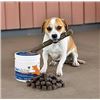 Image 1 : GeriActive Powder Supplement for Dogs, Lot 25280, Exp. 09/2027