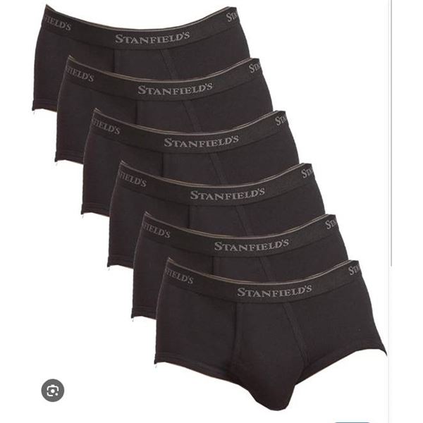 Stanfield’s 6-Pack Classic Briefs, S/P Size 30-32, 100% Combed Cotton