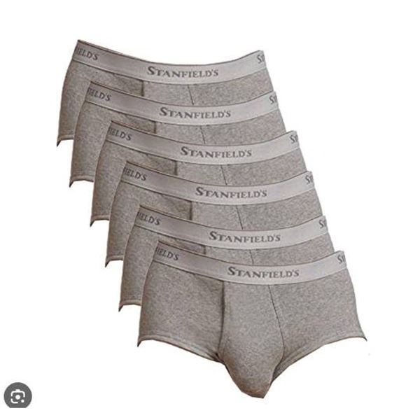 Stanfield’s 6-Pack Classic Briefs in 100% Combed Cotton, Size Small