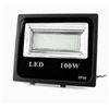 Image 1 : 100W RGBW Smart Garden Flood Light with Remote Control