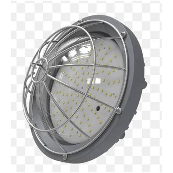 Industrial LED Explosion-Proof Light with Protective Cage