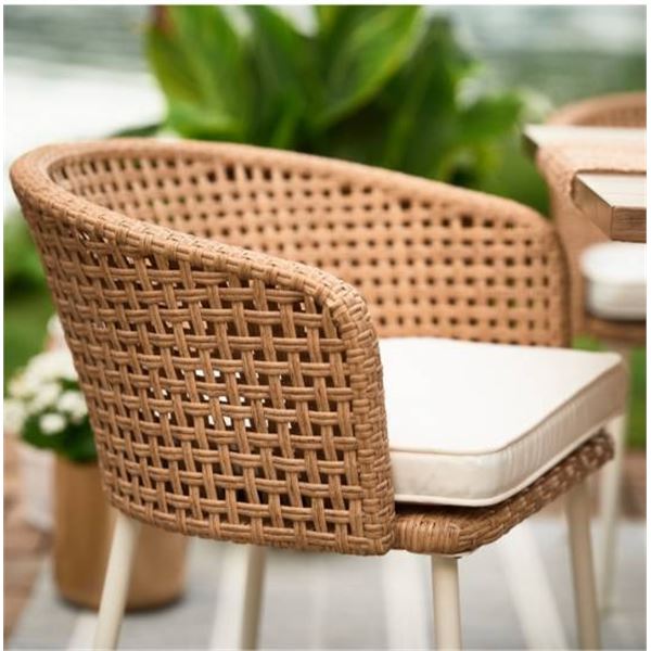 Allen + Roth Costal Set of 2 Dining Chairs Only