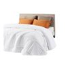 Image 1 : Queen-Size Duvet