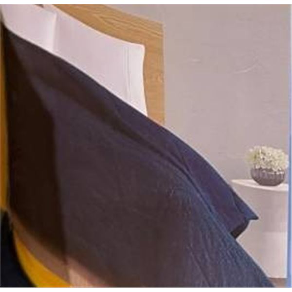 Simmons Down Alternative Queen Blanket with Microfiber