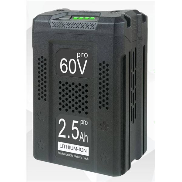 BOTKK 60V Lithium-Ion Rechargeable Battery Pack, 2.5Ah, Model LB60A02