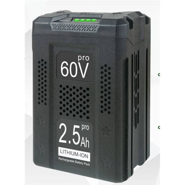 BOTKK LB60A02 60V 2.5Ah Lithium-Ion Rechargeable Battery Pack