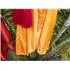 Image 3 : Qty 2 Hula Skirts w/ 2 Red I'i Hand Tassels