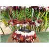 Image 8 : Traditional Ceremonial Headdress w/ Shells & Feathers