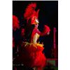 Image 2 : Red Artificial Fringe Dance Skirt w/ Hip Hei Band, Headdress, Uli Uli, Gourd & Tassels