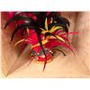 Image 5 : Red Artificial Fringe Dance Skirt w/ Hip Hei Band, Headdress, Uli Uli, Gourd & Tassels