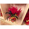 Image 4 : Red Artificial Fringe Dance Skirt w/ Hip Hei Band, Headdress, Uli Uli, Gourd & Tassels