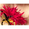 Image 7 : Red Artificial Fringe Dance Skirt w/ Hip Hei Band, Headdress, Uli Uli, Gourd & Tassels