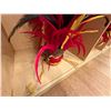 Image 6 : Red Artificial Fringe Dance Skirt w/ Hip Hei Band, Headdress, Uli Uli, Gourd & Tassels