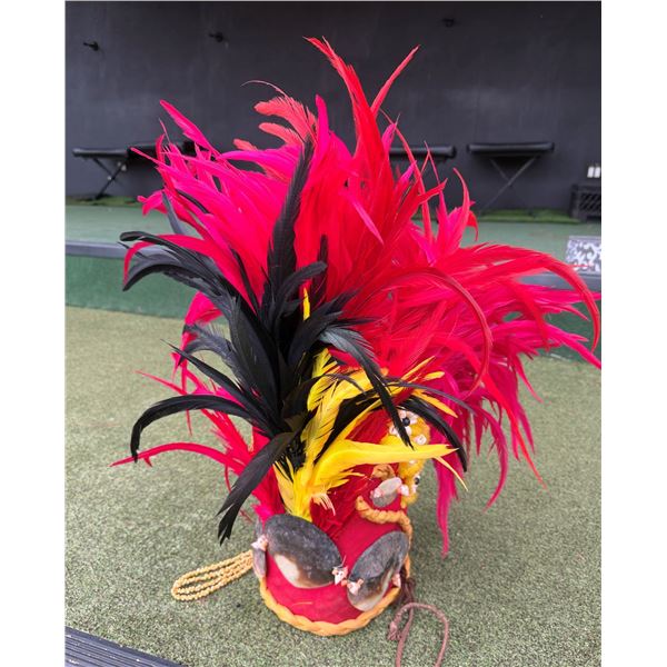 Traditional Polynesian Feather Headdress