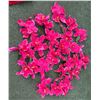 Image 1 : Multiple Artificial Pink Orchid Hair Accessories