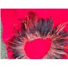 Image 2 : Red & Black Feather Collar Neckpiece