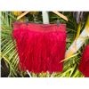 Image 5 : Red Artificial Fringe Dance Skirt w/ Hip Hei Band & Tassels