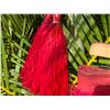 Image 7 : Red Artificial Fringe Dance Skirt w/ Hip Hei Band & Tassels