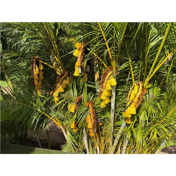 Multiple Braided Headbands w/ Tassels