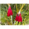 Image 1 : Qty 4 Pair Red Hand Tassels