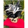 Image 1 : Traditional Polynesian Feather Headdress