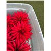 Image 2 : Qty 5 Artificial Red Flower Hair Accessories